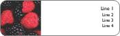 Berry Juicy Return Address Labels