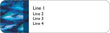 Big Catch Return Address Labels