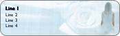 Bride and Rose Return Address Labels