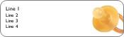 Dummy Bliss Return Address Labels