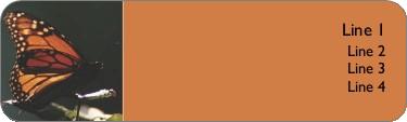 Monarch Butterfly Return Address Labels
