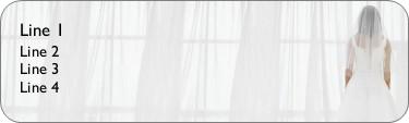 Reflecting Bride Return Address Labels
