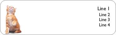 Paw Shake Return Address Labels