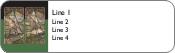Horizon at Home Return Address Labels