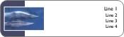 Tranquil Dolphins Return Address Labels