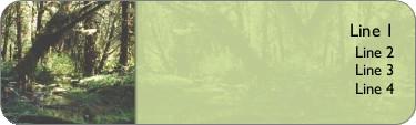Woodland Stream Return Address Labels