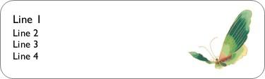 Green Butterfly Return Address Labels
