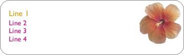 Petal Perfect Return Address Labels