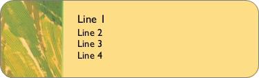 Sunny Strokes Return Address Labels