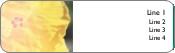 Sunny Outlook Return Address Labels