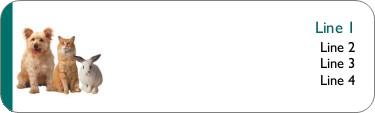 A Perfect Trio Return Address Labels