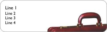 Case in Point Return Address Labels