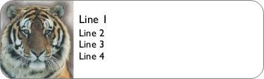 Fearless Feline Return Address Labels