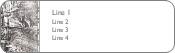Jean Cut-off Shorts Return Address Labels