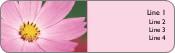 Dainty Petals Return Address Labels