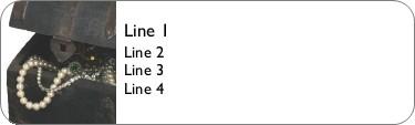 Secret Treasure Return Address Labels