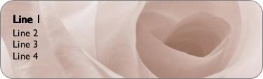 White Rose Return Address Labels