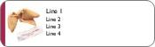 Fortune Cookie Return Address Labels