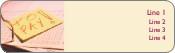 Accounts Payable Return Address Labels