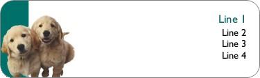 Retriever Puppies Return Address Labels