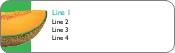 Cantaloupe Slice Return Address Labels