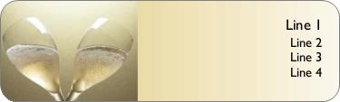 Champagne Toast Return Address Labels