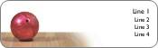 Ready to Strike Return Address Labels
