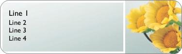 Striking Centrepiece Return Address Labels