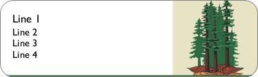 Evergreen Forest Return Address Labels