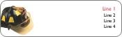 Fan the Flames Return Address Labels