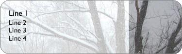 Winter Tree Return Address Labels