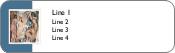 Les Demoiselles d'Avignon Return Address Labels