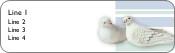 Double Dove Return Address Labels