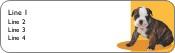 Bulldog Puppy Return Address Labels