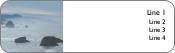 Misty Cove Return Address Labels