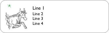 Taurus Return Address Labels
