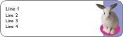 White Rabbit Return Address Labels