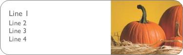 Pumpkins and Raffia Return Address Labels
