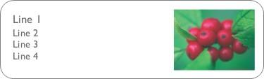 Red Berries Return Address Labels