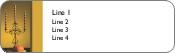 Ornamental Display Return Address Labels