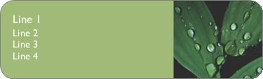 Dew on Leaves Return Address Labels
