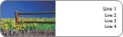 Meadow of Flowers Return Address Labels