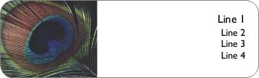 Peacock Feather Return Address Labels
