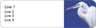 White Egret Return Address Labels