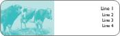 Bull and Cow Return Address Labels