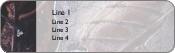Frozen Leaves Return Address Labels