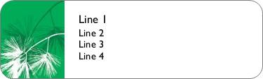 Pine Tree Branches Return Address Labels