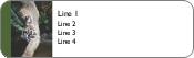 Wild Cat Return Address Labels