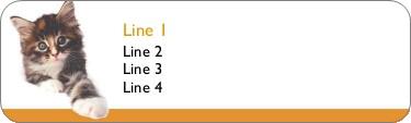 Kitten Return Address Labels