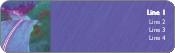 Winding Road Return Address Labels